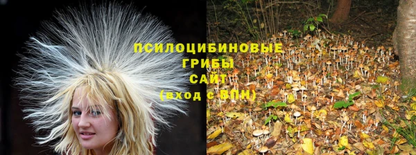 a pvp Покачи