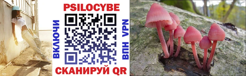Псилоцибиновые грибы ЛСД  Адыгейск 