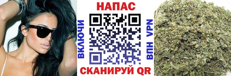 Бошки марихуана THC 21%  где купить наркотик  Адыгейск 